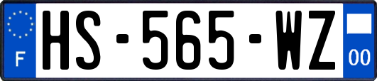HS-565-WZ