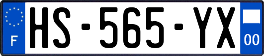 HS-565-YX
