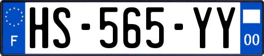 HS-565-YY