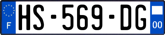 HS-569-DG
