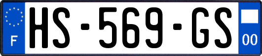 HS-569-GS