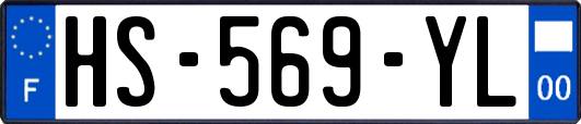 HS-569-YL