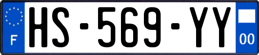 HS-569-YY