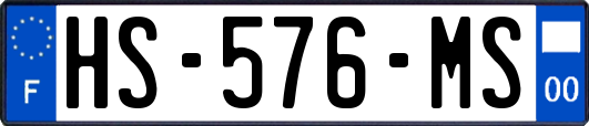 HS-576-MS