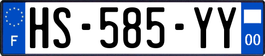 HS-585-YY