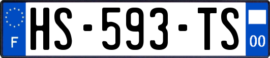 HS-593-TS