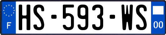 HS-593-WS