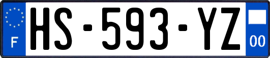 HS-593-YZ
