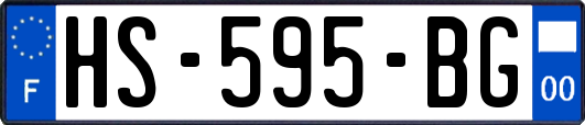 HS-595-BG
