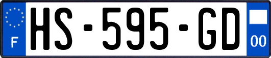 HS-595-GD