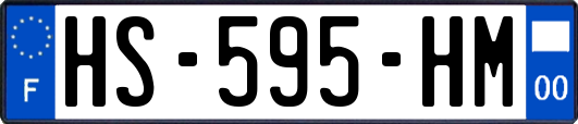 HS-595-HM