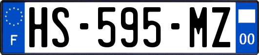 HS-595-MZ