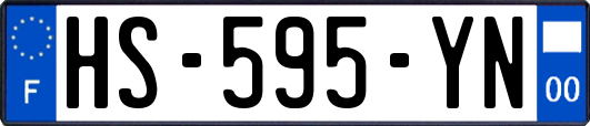 HS-595-YN