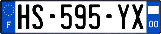 HS-595-YX
