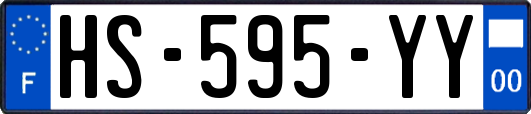 HS-595-YY