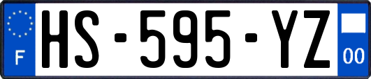 HS-595-YZ