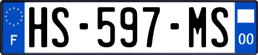 HS-597-MS