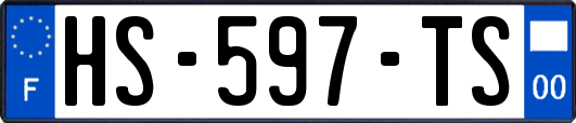 HS-597-TS