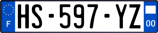 HS-597-YZ