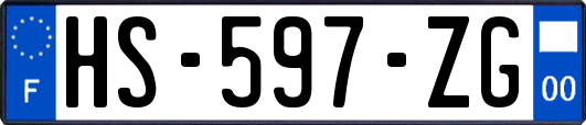 HS-597-ZG