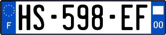 HS-598-EF
