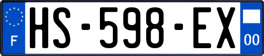 HS-598-EX