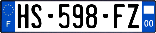 HS-598-FZ