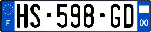 HS-598-GD
