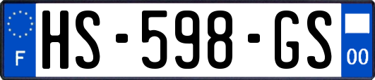 HS-598-GS
