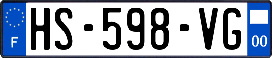 HS-598-VG