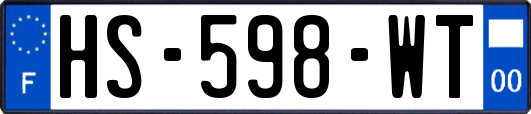 HS-598-WT