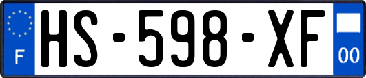 HS-598-XF