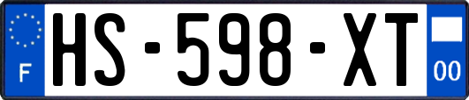 HS-598-XT