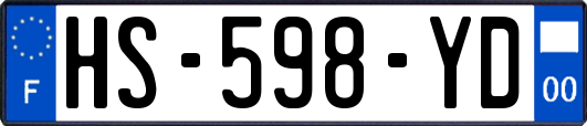 HS-598-YD