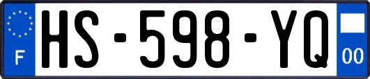 HS-598-YQ