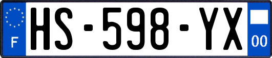HS-598-YX