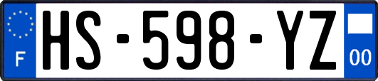 HS-598-YZ