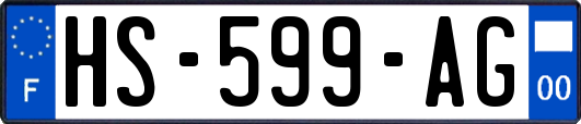 HS-599-AG