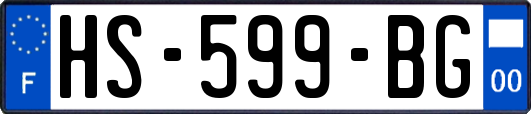 HS-599-BG