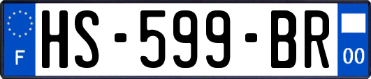 HS-599-BR