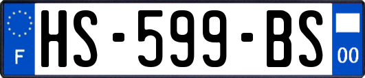 HS-599-BS