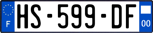 HS-599-DF