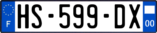 HS-599-DX