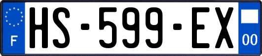 HS-599-EX