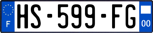 HS-599-FG