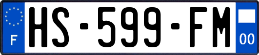 HS-599-FM