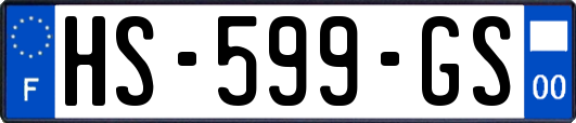 HS-599-GS