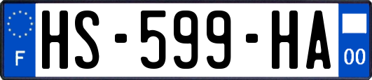 HS-599-HA
