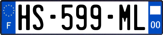 HS-599-ML