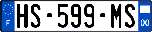 HS-599-MS